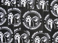 Human & Animal Liberation Sticker